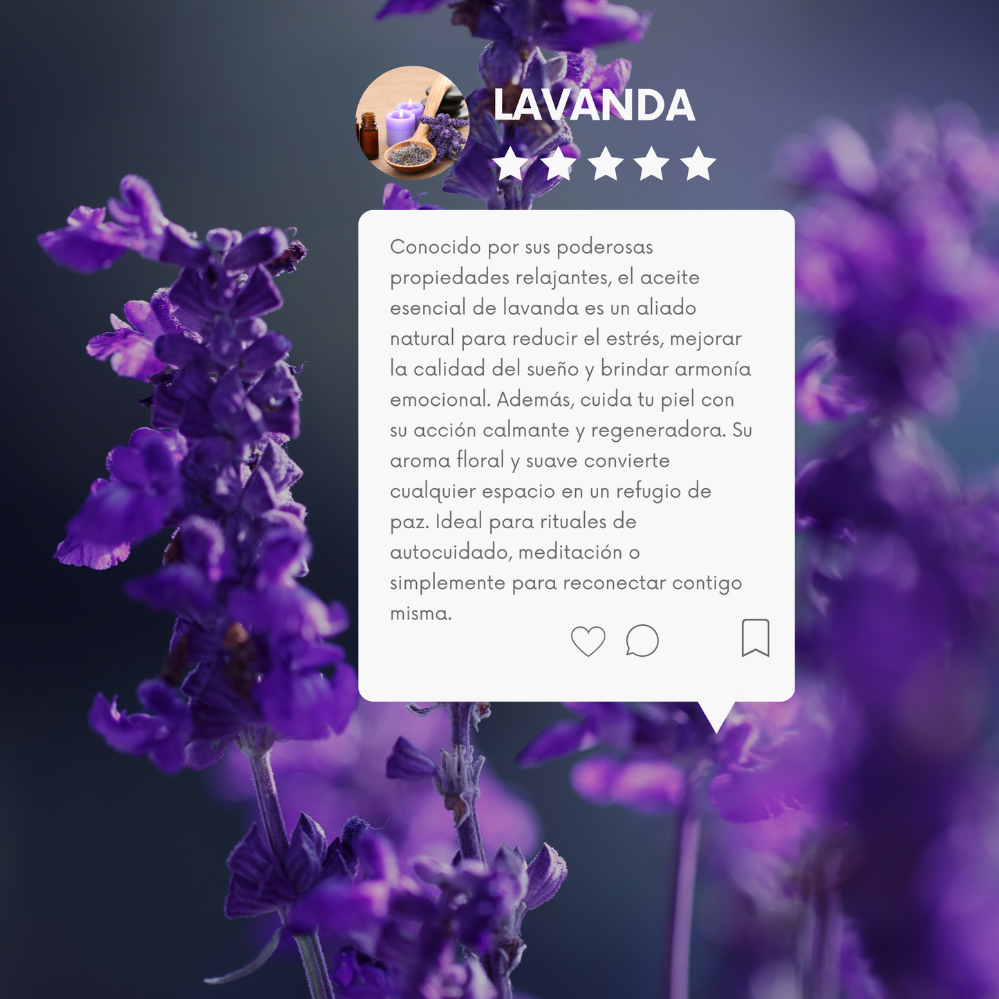 Aceite Esencial Lavanda