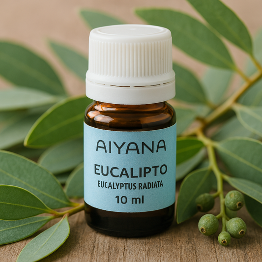 Aceite Esencial Eucalipto